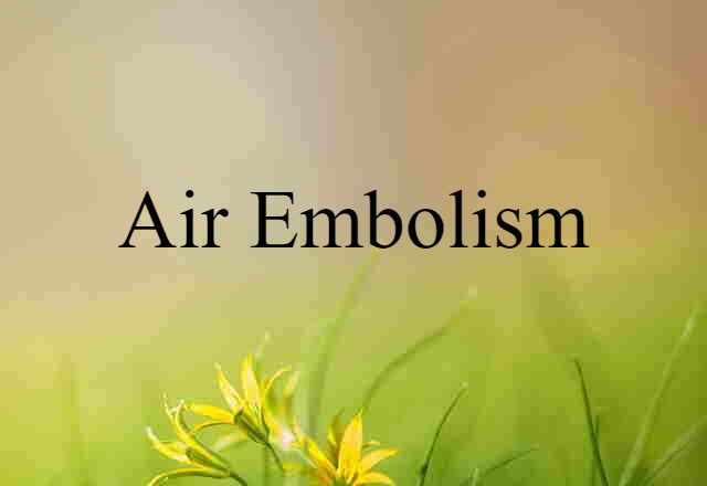 Air Embolism (noun) Definition, Meaning & Examples