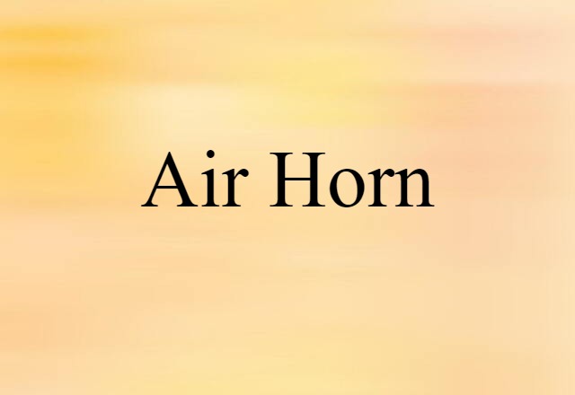 Air Horn (noun) Definition, Meaning & Examples