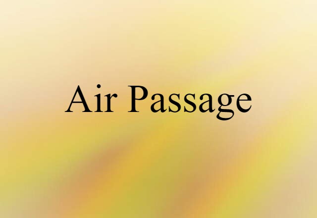 Air Passage (noun) Definition, Meaning & Examples