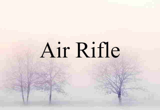 Air Rifle (noun) Definition, Meaning & Examples