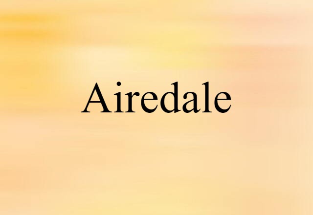 Airedale (noun) Definition, Meaning & Examples