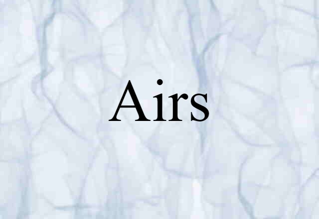 Airs (noun) Definition, Meaning & Examples