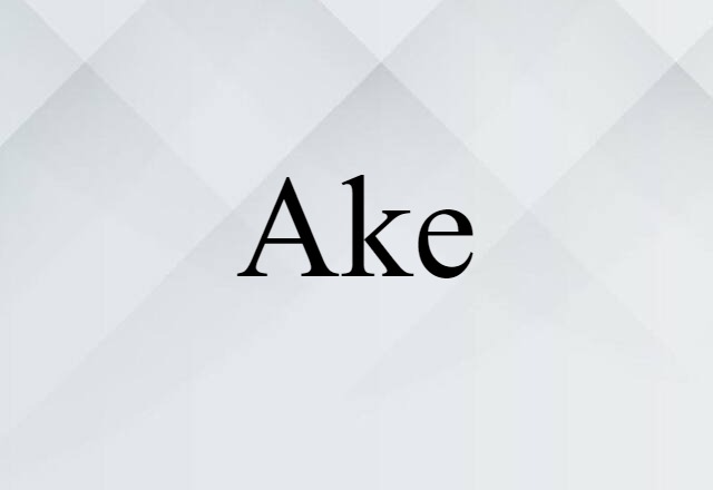 Ake (noun) Definition, Meaning & Examples