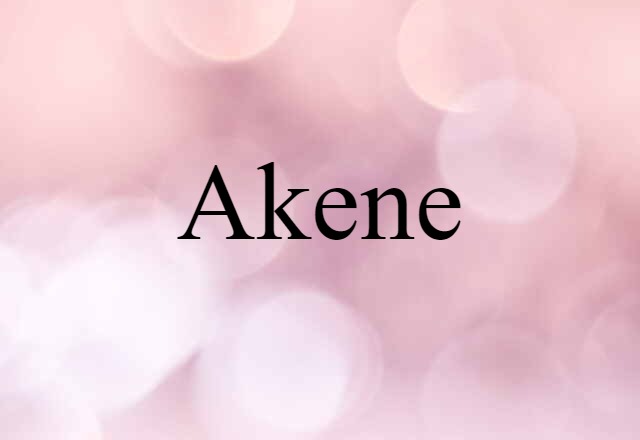 Akene (noun) Definition, Meaning & Examples