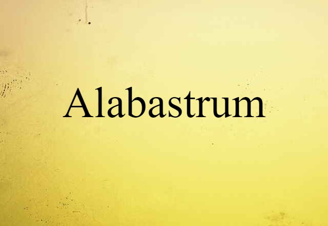 Alabastrum (noun) Definition, Meaning & Examples