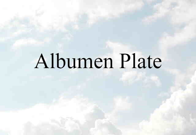 Albumen Plate (noun) Definition, Meaning & Examples