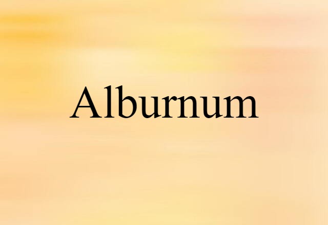 Alburnum (noun) Definition, Meaning & Examples