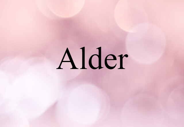 Alder (noun) Definition, Meaning & Examples