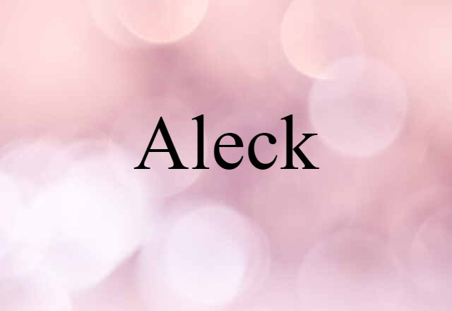 Aleck (noun) Definition, Meaning & Examples