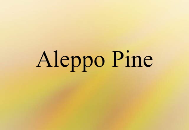 Aleppo pine