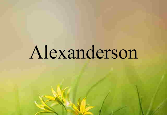 Alexanderson (noun) Definition, Meaning & Examples