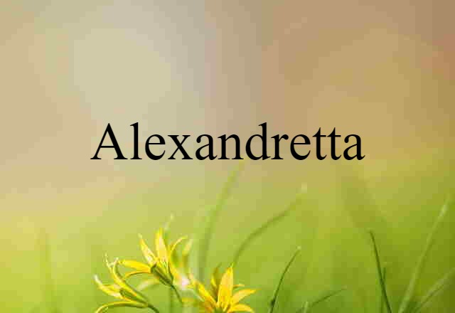 Alexandretta (noun) Definition, Meaning & Examples