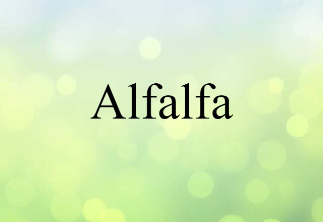 Alfalfa (noun) Definition, Meaning & Examples