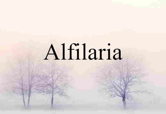 Alfilaria (noun) Definition, Meaning & Examples