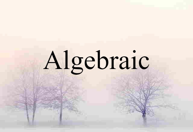 Algebraic (noun) Definition, Meaning & Examples