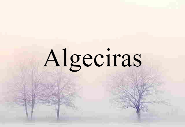 Algeciras (noun) Definition, Meaning & Examples