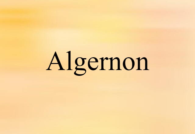 Algernon (noun) Definition, Meaning & Examples