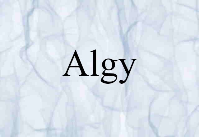 Algy (noun) Definition, Meaning & Examples