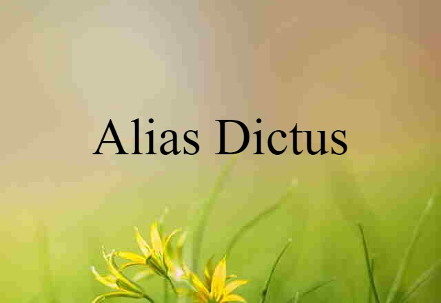 Alias Dictus (noun) Definition, Meaning & Examples