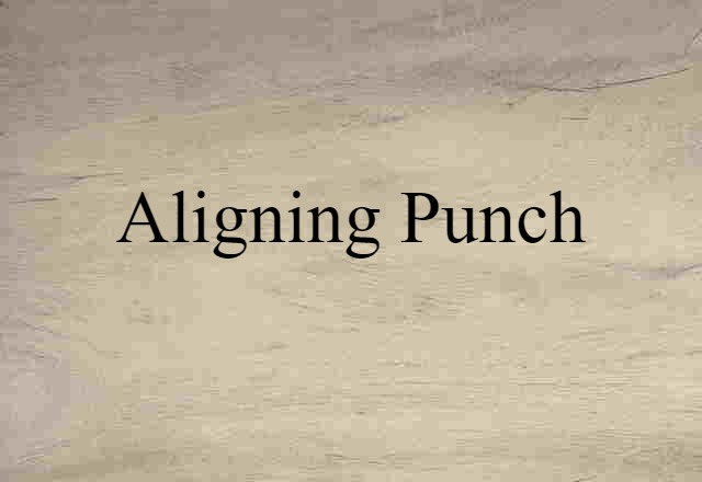 Aligning Punch (noun) Definition, Meaning & Examples