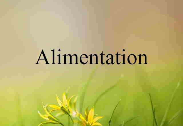 Alimentation (noun) Definition, Meaning & Examples