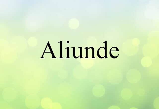 Aliunde (noun) Definition, Meaning & Examples