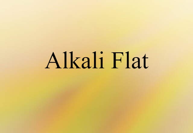 Alkali Flat (noun) Definition, Meaning & Examples