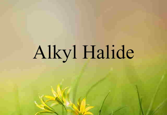 Alkyl Halide (noun) Definition, Meaning & Examples