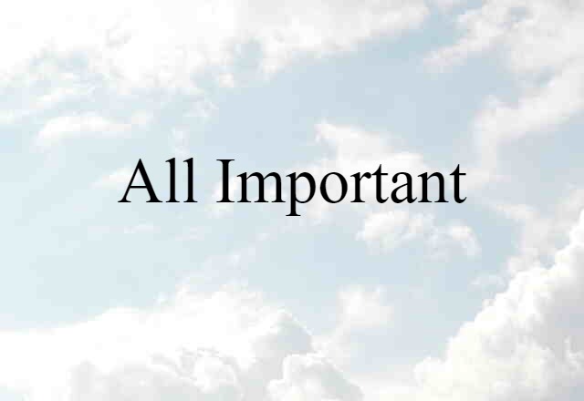 All-important (noun) Definition, Meaning & Examples