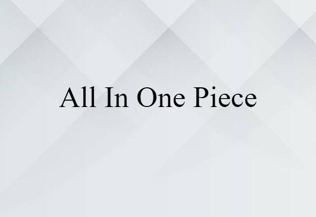 All In One Piece (noun) Definition, Meaning & Examples