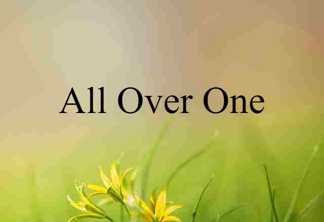 All Over One (noun) Definition, Meaning & Examples