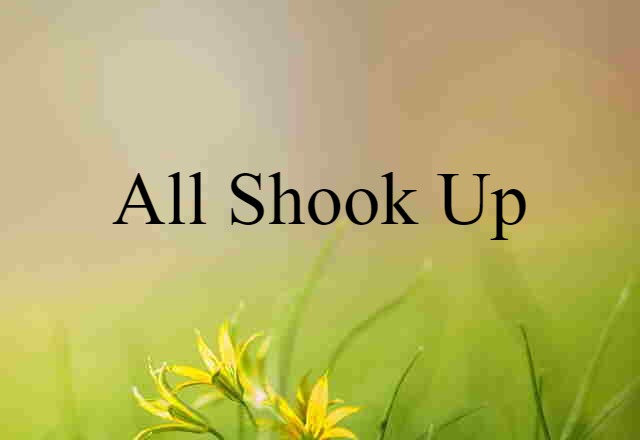 All Shook Up (noun) Definition, Meaning & Examples