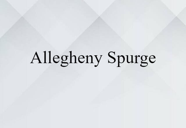 Allegheny spurge