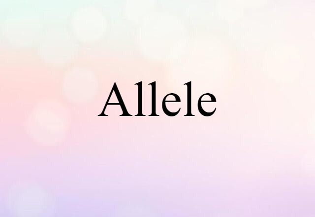 allele