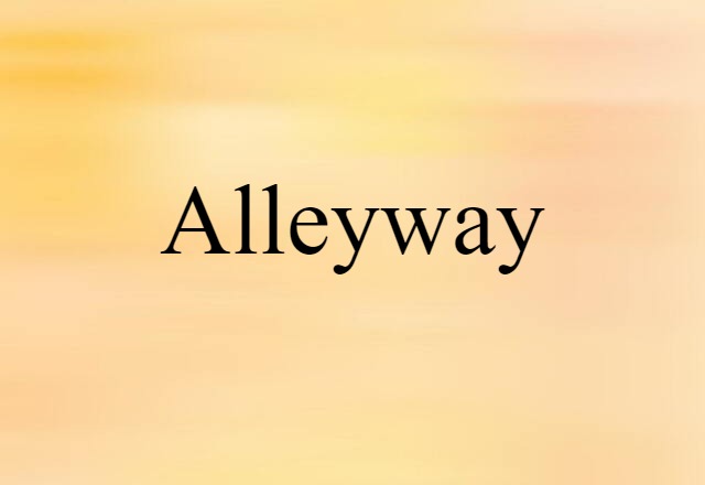 Alleyway (noun) Definition, Meaning & Examples