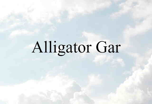 alligator gar