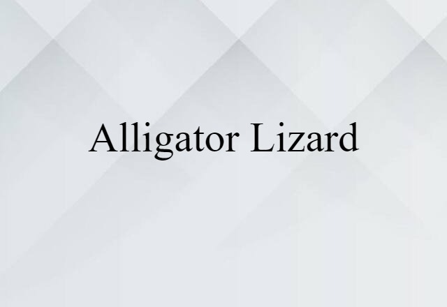 Alligator Lizard (noun) Definition, Meaning & Examples