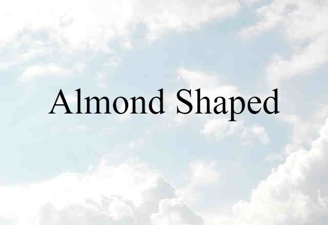 Almond-shaped (noun) Definition, Meaning & Examples