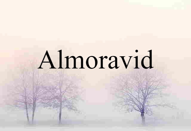 Almoravid (noun) Definition, Meaning & Examples