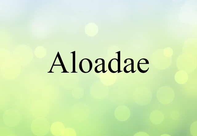 Aloadae (noun) Definition, Meaning & Examples