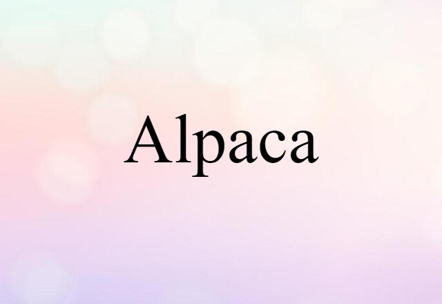 Alpaca (noun) Definition, Meaning & Examples