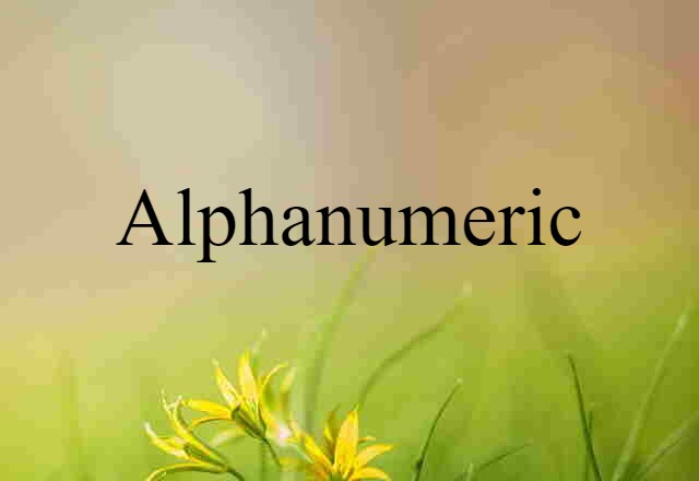 Alphanumeric (noun) Definition, Meaning & Examples