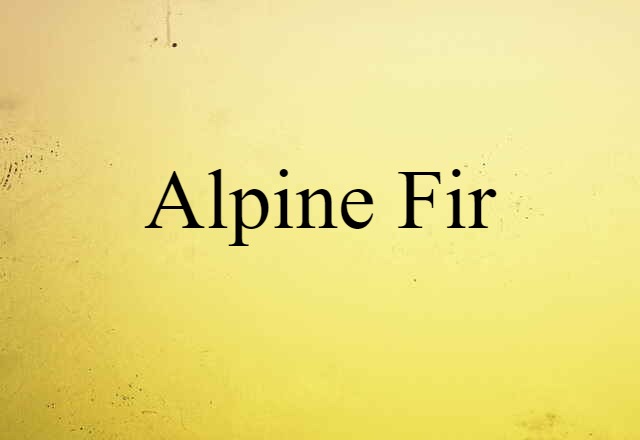 alpine fir