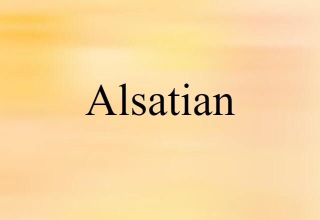 Alsatian