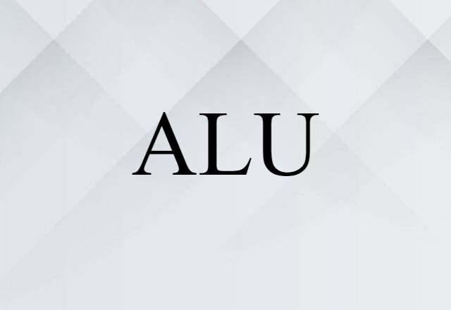 ALU (noun) Definition, Meaning & Examples