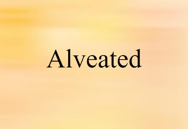 Alveated (noun) Definition, Meaning & Examples