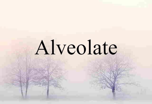 alveolate