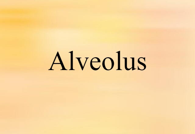 alveolus