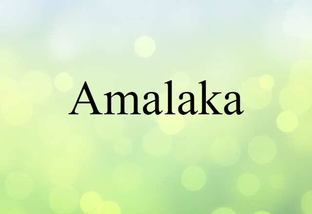 Amalaka (noun) Definition, Meaning & Examples