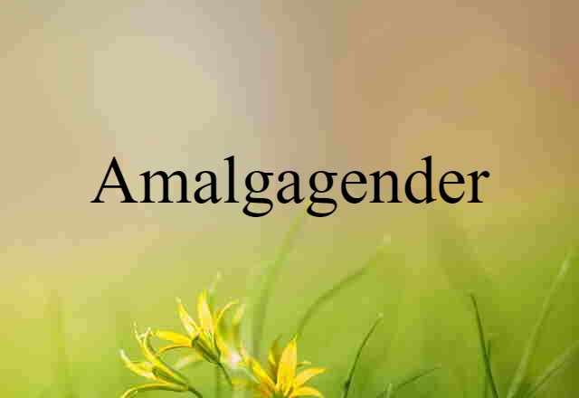 Amalgagender (noun) Definition, Meaning & Examples